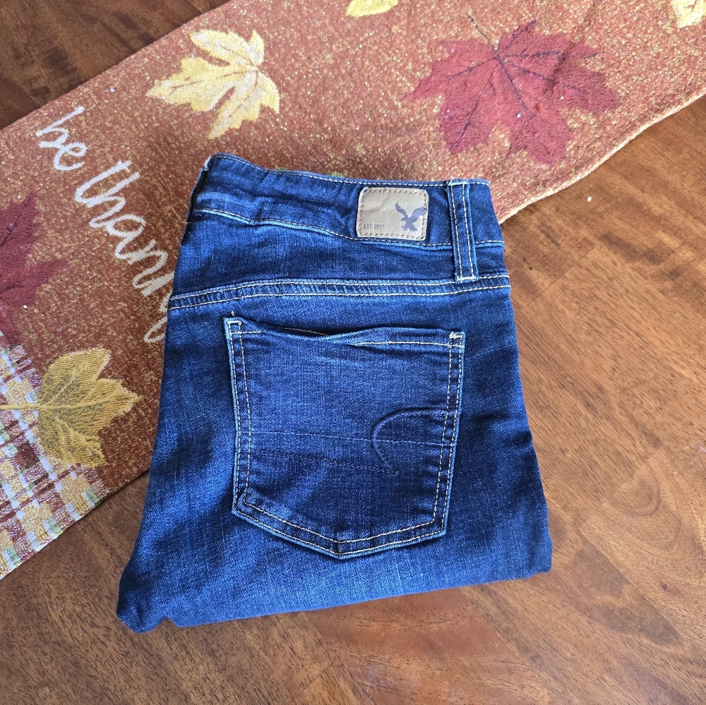 American Eagle Outfitters Dark Blue Jegging Skinny Jeans
